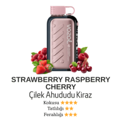 Vozol Gear 50000 - Strawberry Raspberry Chery