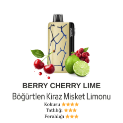 Vozol Neon 45000 - Berry Cherry Lime