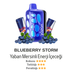 Vozol Rave 40000 - Blueberry Storm
