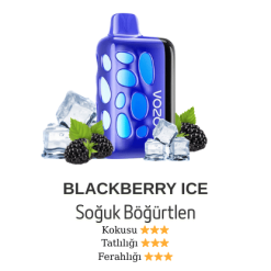 Vozol Rave 40000 - Blackberry Ice