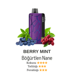 Vozol Neon 45000 - Berry Mint