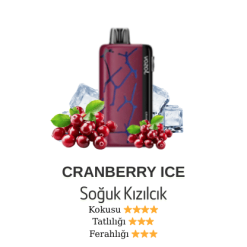Vozol Neon 45000 - Cranberry Ice