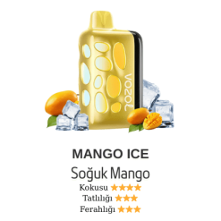 Vozol Rave 40000 - Mango Ice