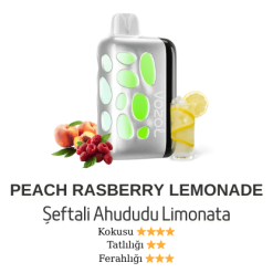 Vozol Rave 40000 - Peach Rasberry Lemonade