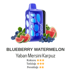 Vozol Rave 40000 - Blueberry Watermelon