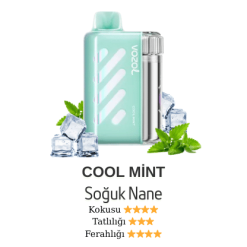 Vozol Vista 40000 - Cool Mi̇nt