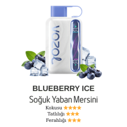 Vozol Star 40000 - Blueberry Ice