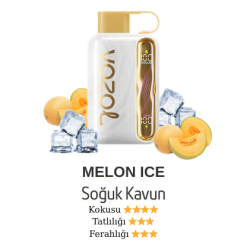 Vozol Star 40000 - Melon Gummango