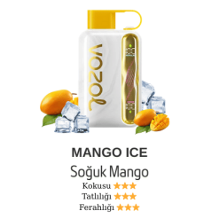 Vozol Star 40000 - Mango Ice